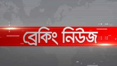 আবারও-লাশের-সারি,-নিহত-প্রায়-১২৬