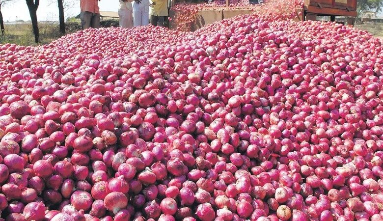 ২০-টাকা-কেজিতে-বিক্রি-হচ্ছে-পেঁয়াজ-যেখানে-পাওয়া-যাবে-জেনে-নিন