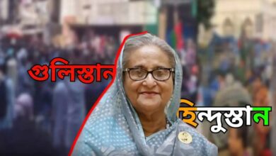 উস্কানি-দিয়ে-নেত্রী-ঘুমাই-হিন্দুস্তান,-আর-বোকা-কর্মী-মার-খায়-গুলিস্তান’