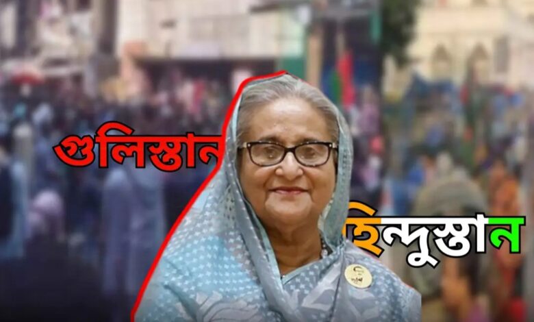 উস্কানি-দিয়ে-নেত্রী-ঘুমাই-হিন্দুস্তান,-আর-বোকা-কর্মী-মার-খায়-গুলিস্তান’