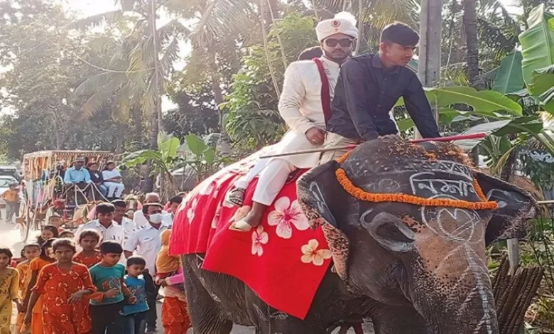 হাতিতে-চড়ে-বর-এসে-বউ-নিয়ে-গেলেন-পালকিতে